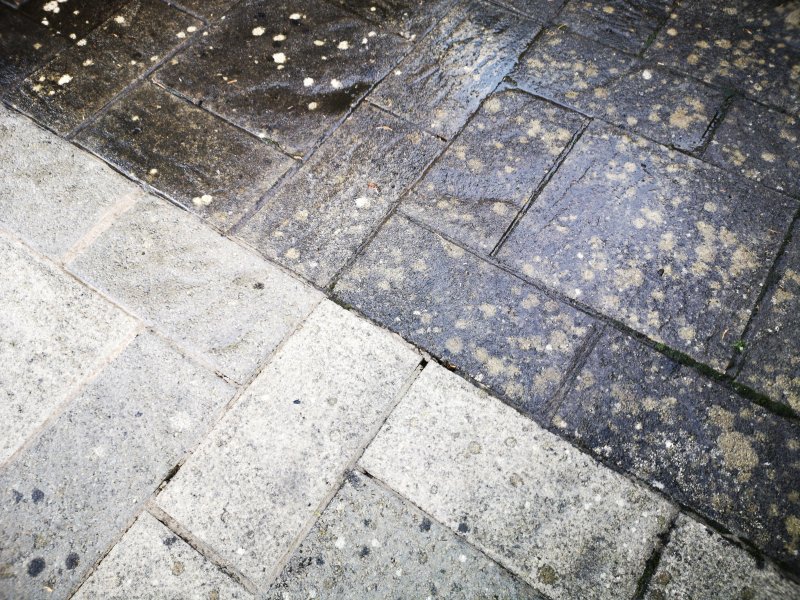 Exterior Cleaning Services Brisbane