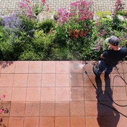 Terracotta tile cleaning